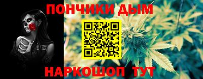 гашик Моздок