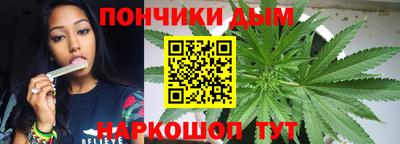 гашик Моздок