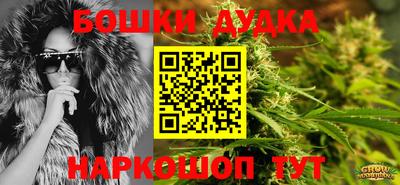гашик Моздок