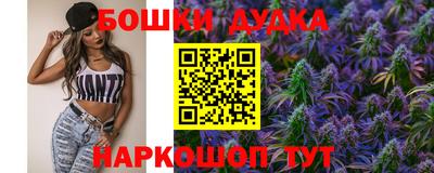 гашик Моздок