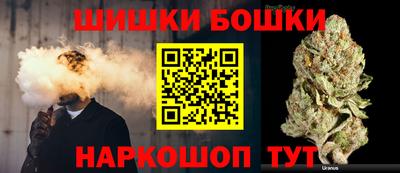 гашик Моздок