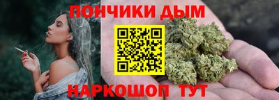 гашик Моздок