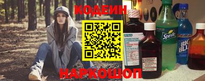 гашик Моздок